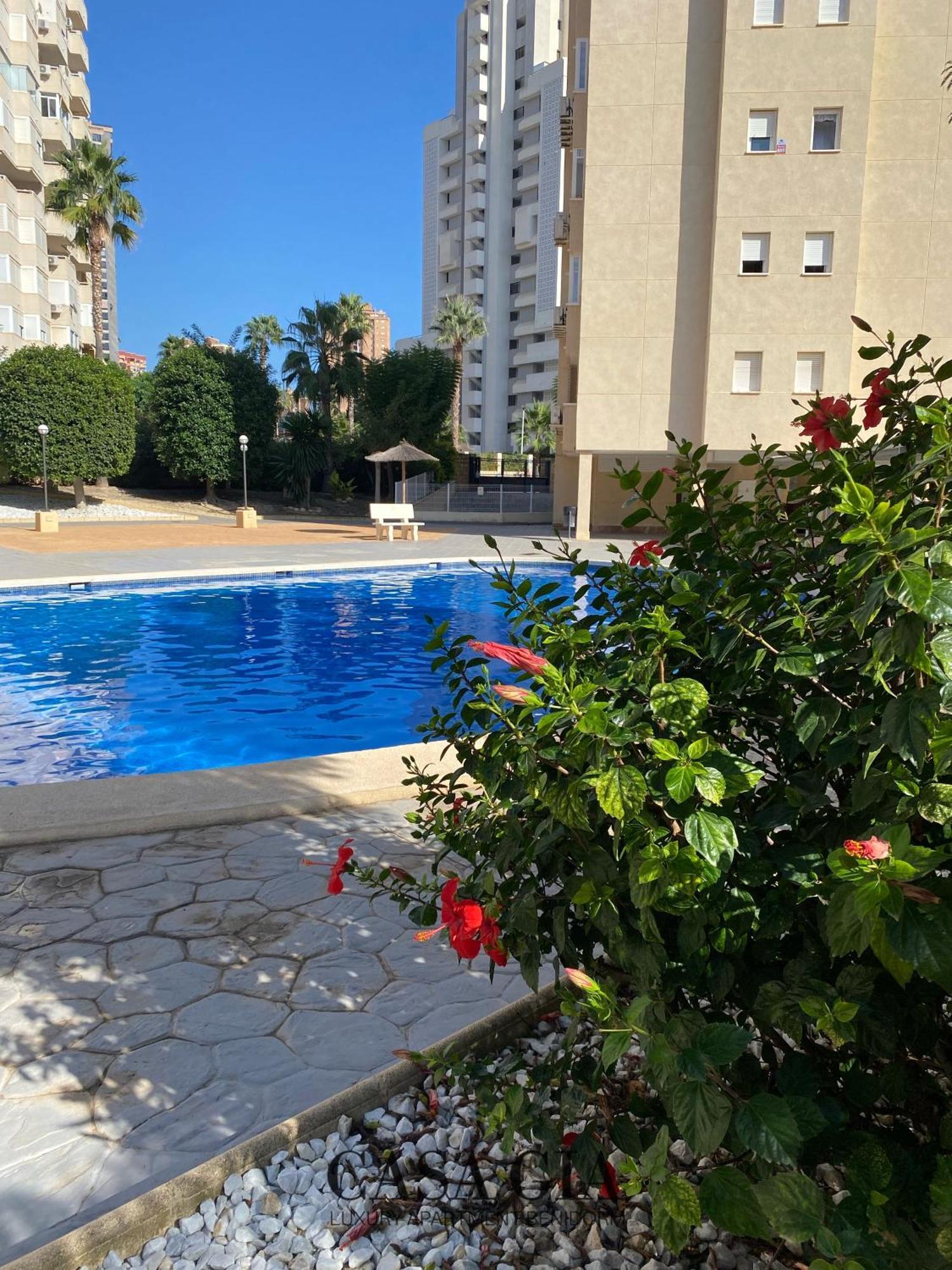 Casa Gia L Luxury Apartment 베니돔 외부 사진